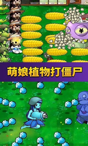 中俄元首共见记者