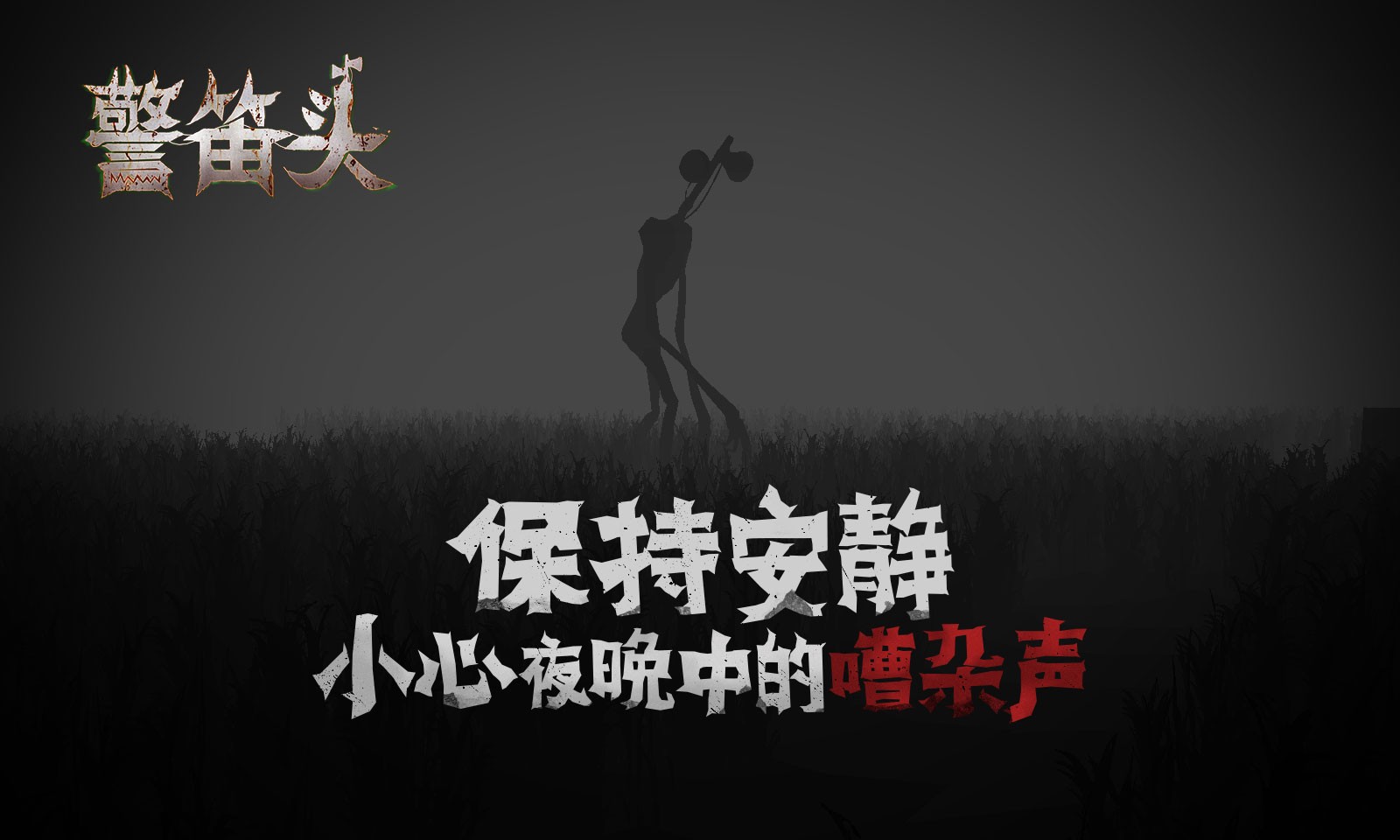 马尔代夫总统最新涉华表态